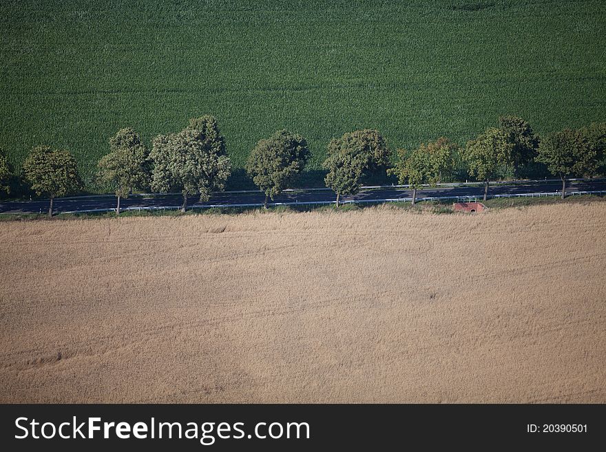 Aerial view of an alley in the summer. Aerial view of an alley in the summer