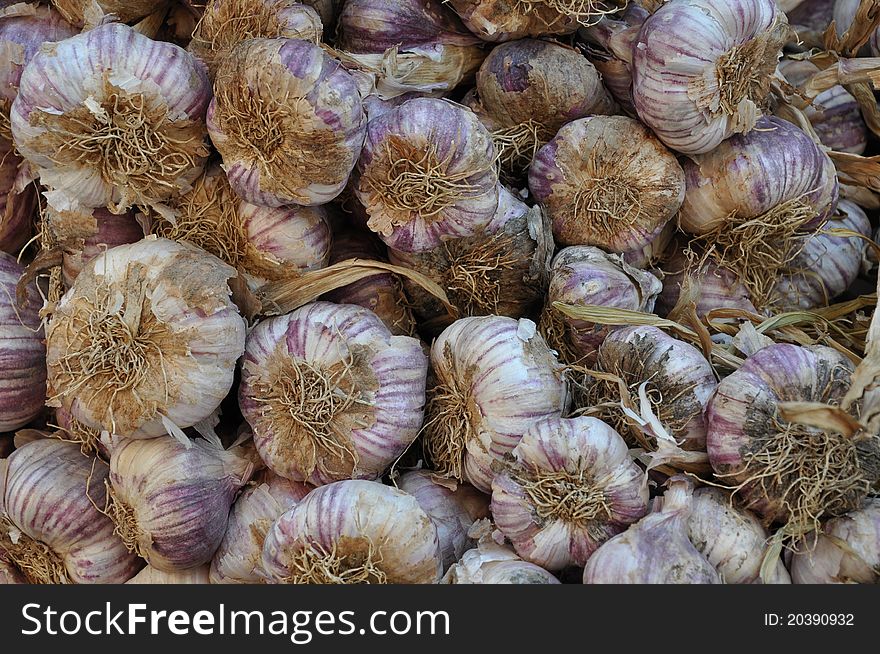 Garlic seasoning in the market for haute cuisine in every kitchen