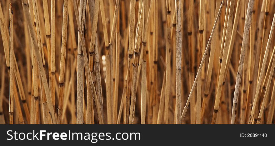 Close up photo of straw