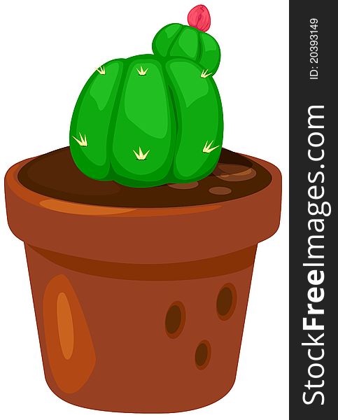 Illustration of isolated cactus on white background