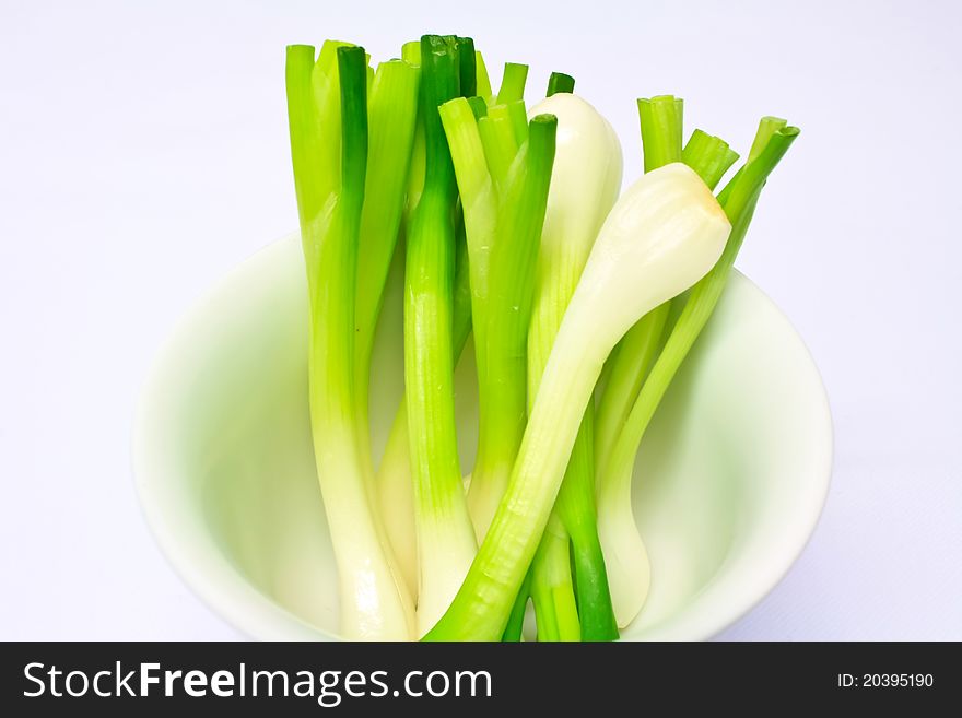 Bunch Of Spring Onions On White Background III