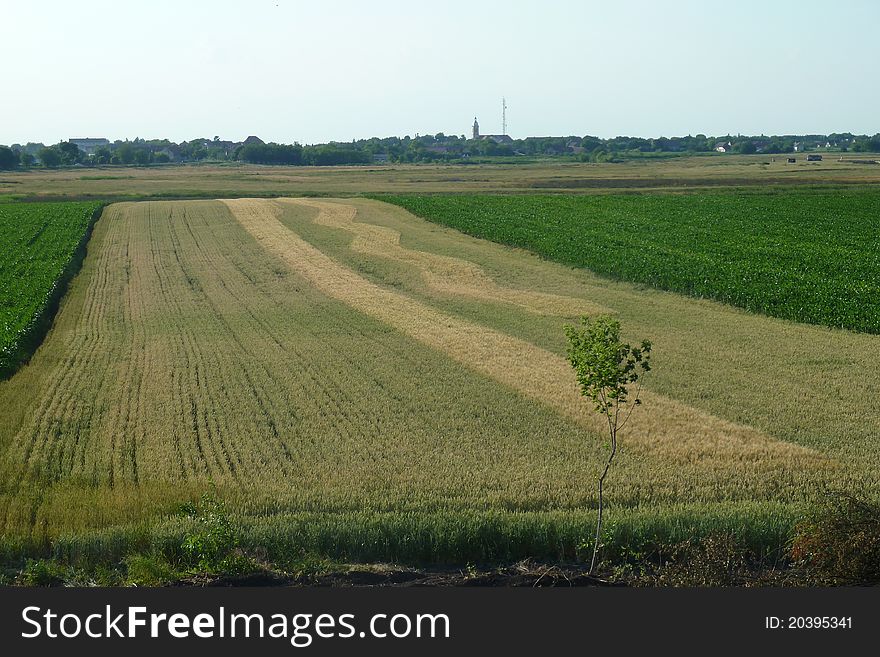 Zig-Zag tractor track on a field