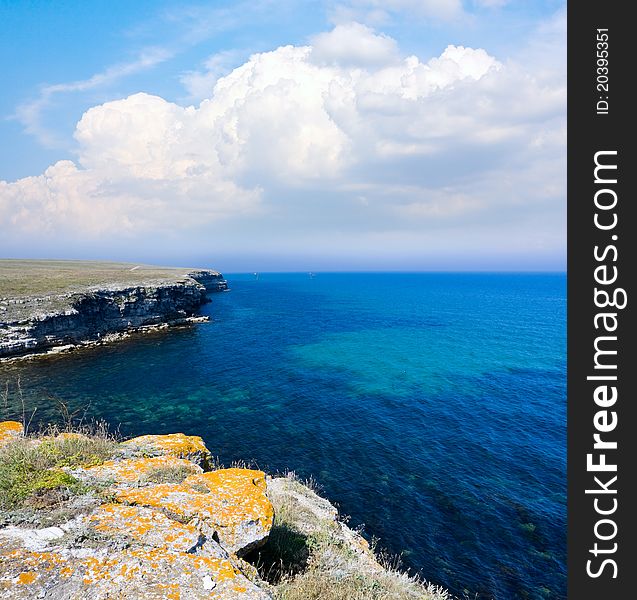 Summer Landscape On Sea Coast