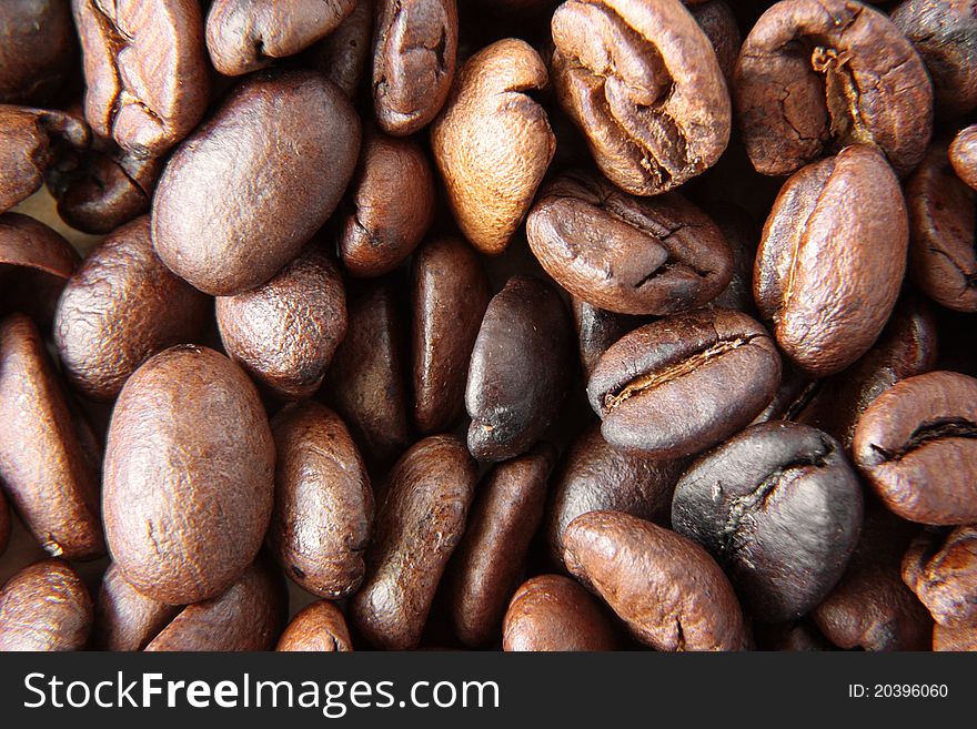 Coffee Grains Close Up