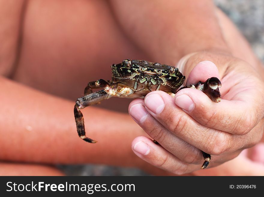 The malicious crab in man hands