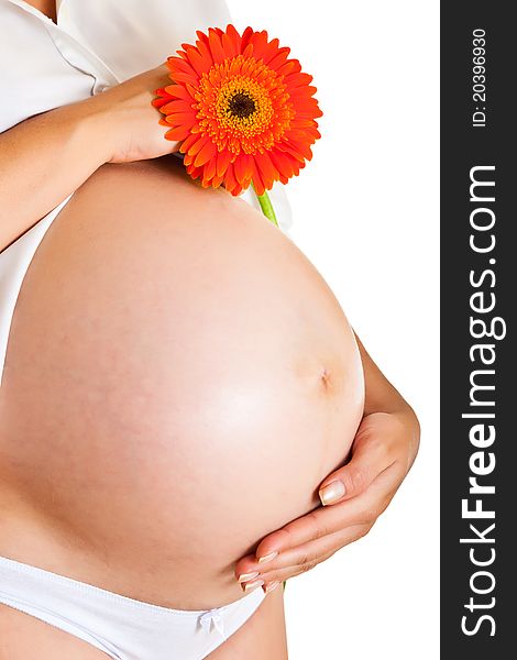 Pregnant woman holding gerbera flower isolated on white. Pregnant woman holding gerbera flower isolated on white