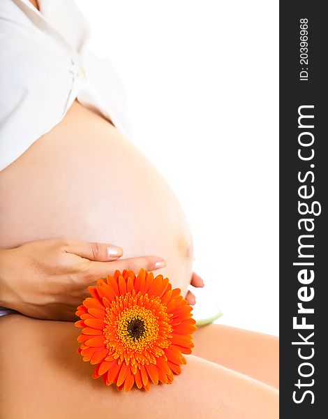 Pregnant woman holding gerbera flower isolated on white. Pregnant woman holding gerbera flower isolated on white