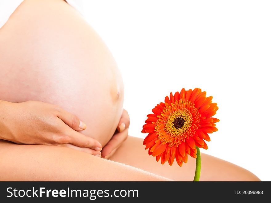 Pregnant woman holding gerbera flower isolated on white. Pregnant woman holding gerbera flower isolated on white