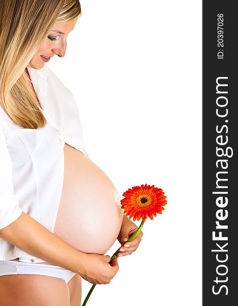 Pregnant woman holding gerbera flower isolated on white. Pregnant woman holding gerbera flower isolated on white