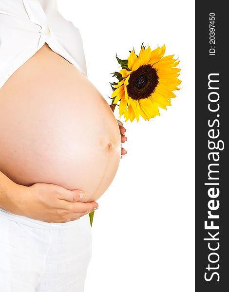 Pregnant woman holding sunflower isolated on white