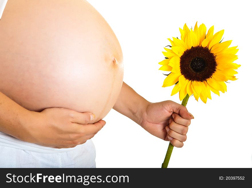 Pregnant Woman Holding Sunflower