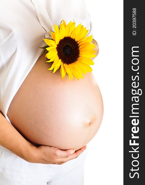 Pregnant woman holding sunflower isolated on white