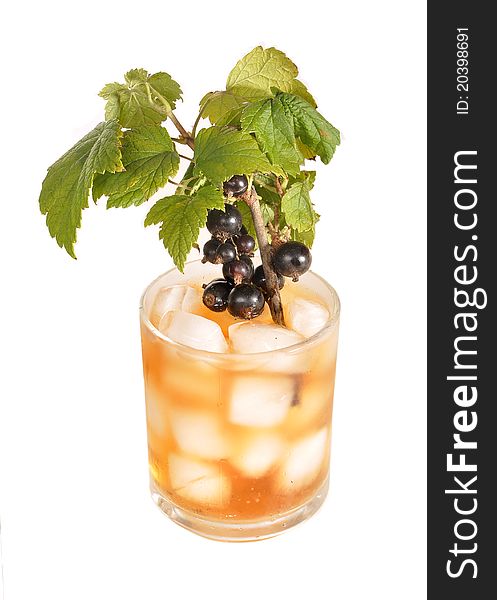 Branch Of A Currant In A Glass With Tea
