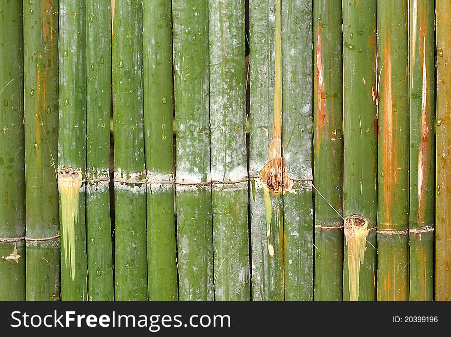 Bamboo background, texture, found in Asia