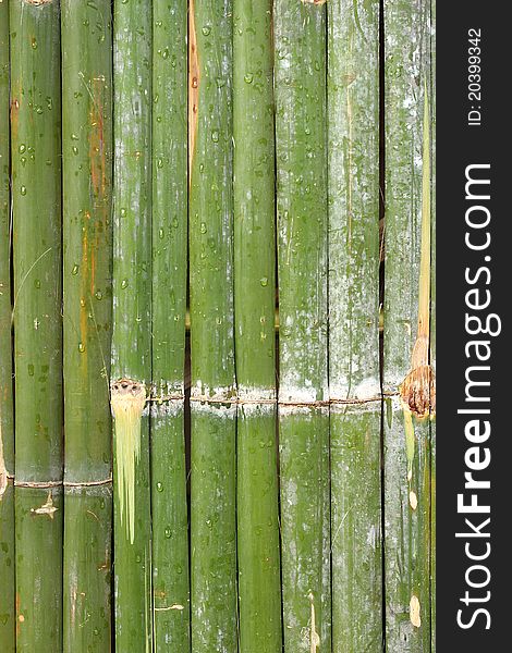 Bamboo background, texture, found in Asia