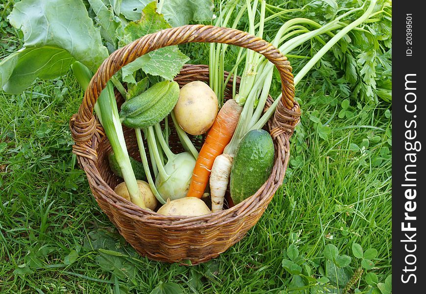 Vegetables and wicker on a background