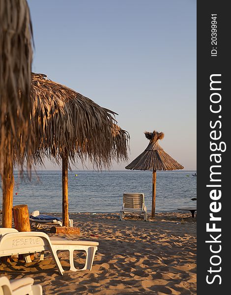 Beach with palms umbrella and chairs