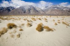 Sand Dune Near Death Valley Stock Images Sand Dune Near Death Valley Stock Images