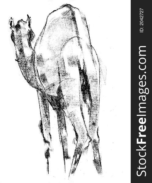 Sketche of a Indian camel from back side.