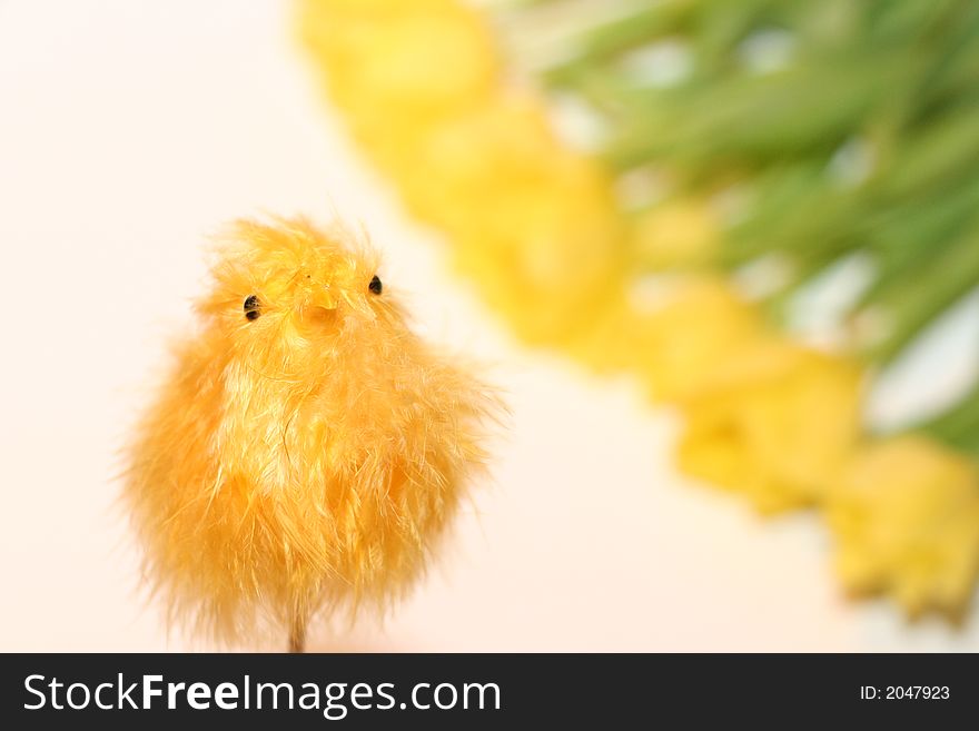 Yellow chicken baby in tulips background. Yellow chicken baby in tulips background