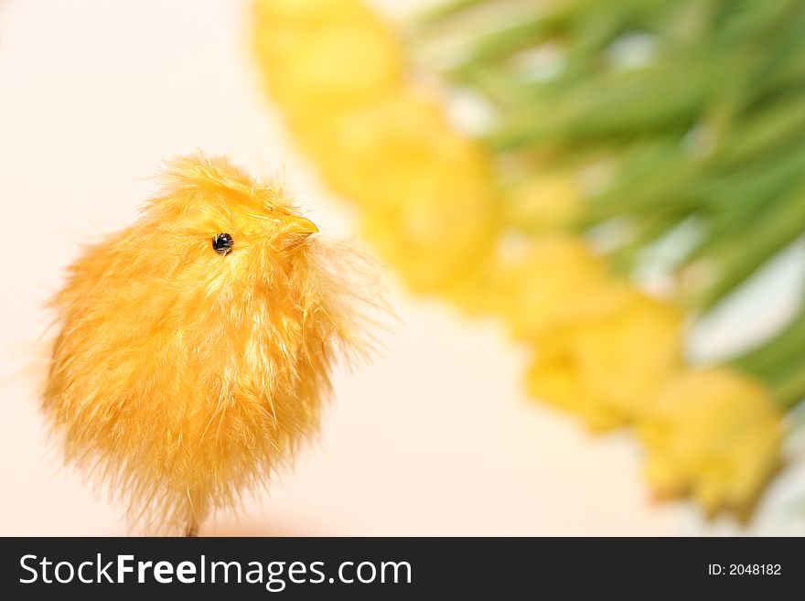 Yellow chicken baby in tulips background. Yellow chicken baby in tulips background