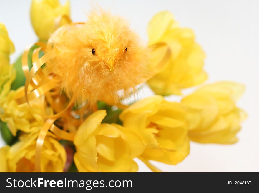 Yellow chicken baby in tulips background. Yellow chicken baby in tulips background