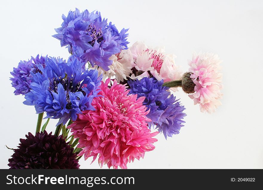 Bouquet of flowers isolated over white background