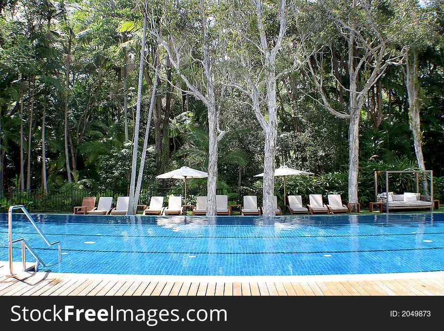 Pool and rainforest at a luxurious setting. Pool and rainforest at a luxurious setting