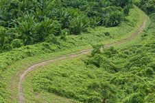 Green Grass Road Stock Photography Green Grass Road Stock Photography