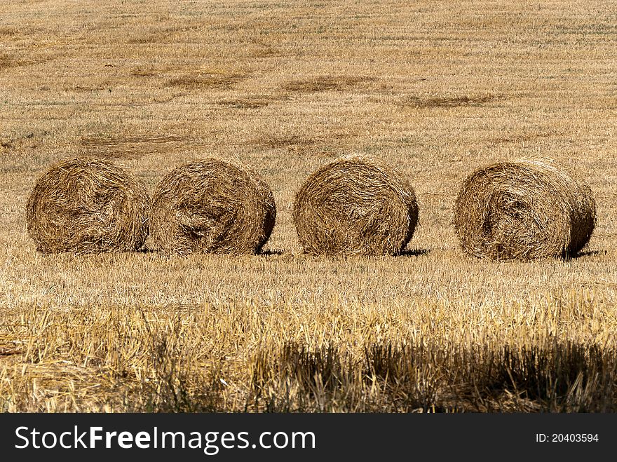 Bales Of Hay