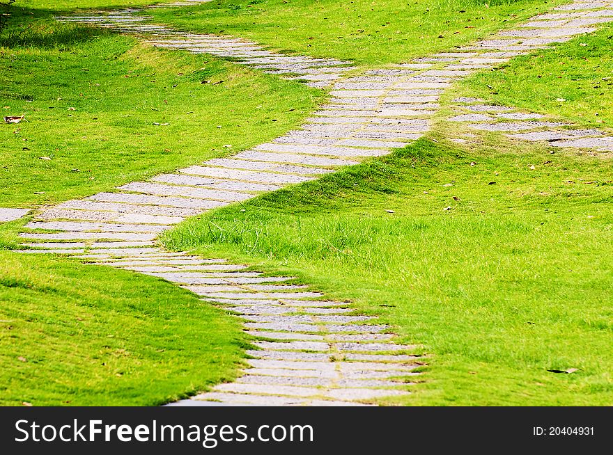 The Winding road in green grasses of park