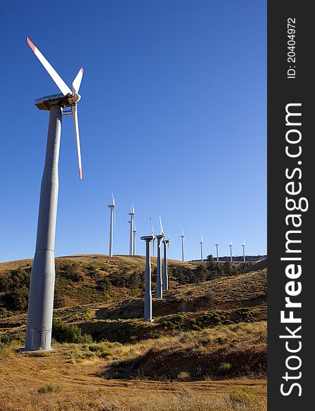 A field of wind turbines in California. A field of wind turbines in California.
