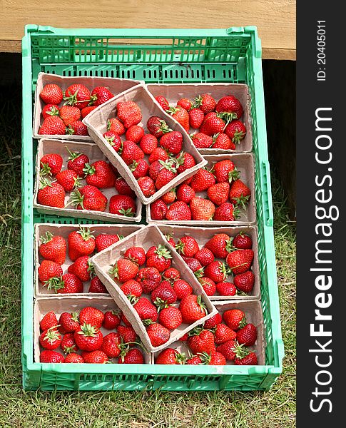 A Display of Fresh Pummets of Strawberries.
