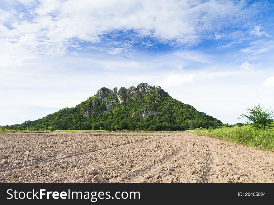 The Mountains And The Green Area.