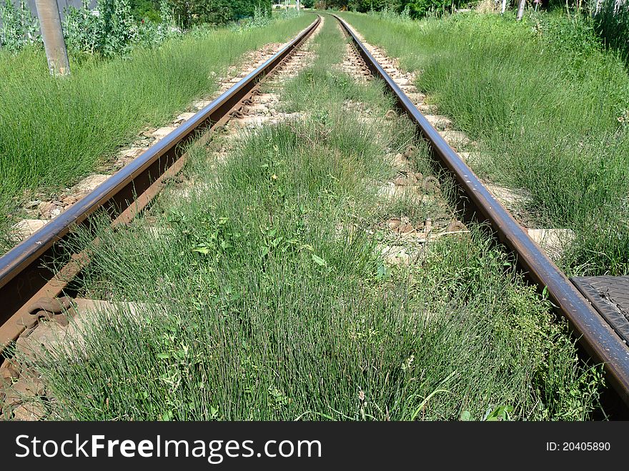 Railroad tracks with grass in Piedmont