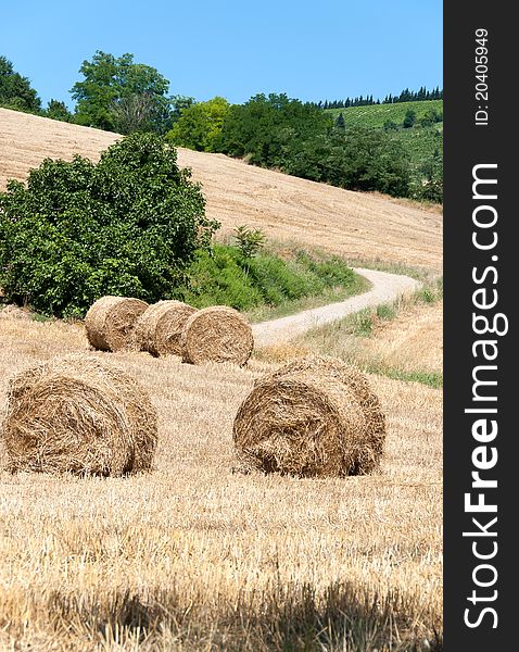 Hill road with bales of hay