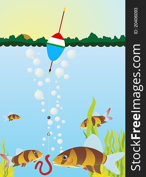 Float on the surface of the reservoir. Bait on a hook near the fish swim. Float on the surface of the reservoir. Bait on a hook near the fish swim