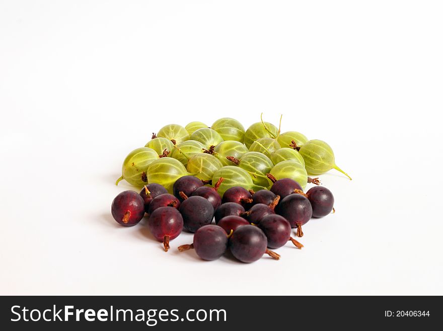 Green and darkly are red berries on a white background