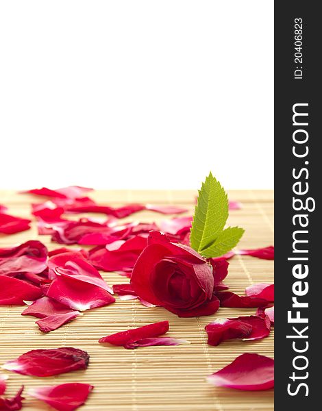 Beautiful red rose petals scattered and on a wooden surface. Isolated. Beautiful red rose petals scattered and on a wooden surface. Isolated