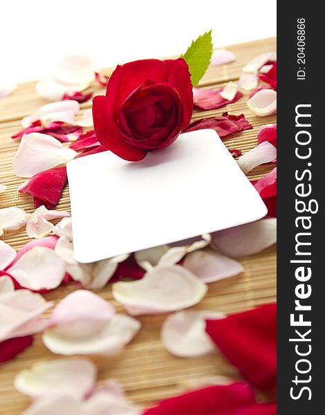 At the rose petals is white piece of paper and a red rose. Postcard. At the rose petals is white piece of paper and a red rose. Postcard