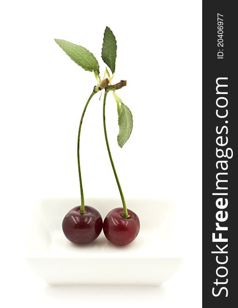 Two Cherries In A White Dish