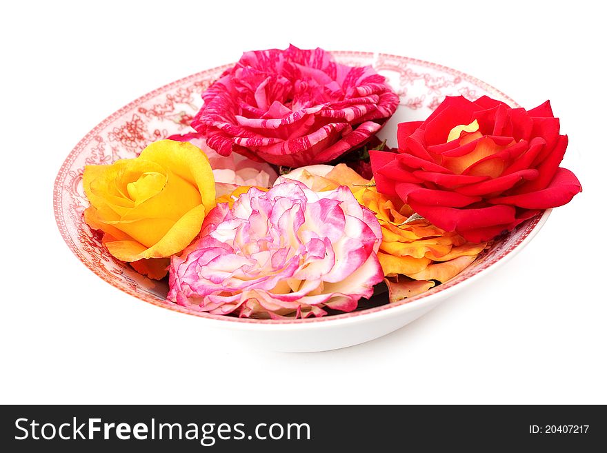 Flowers of a beautiful landscape picture macro close-up photo