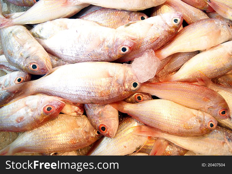 The fish in the seafood market sale,. This is a close-up of it.