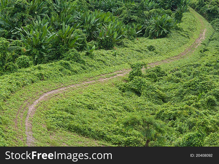 Green Grass Road