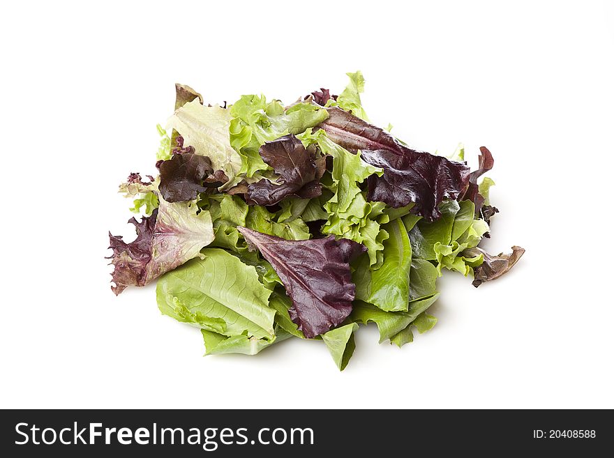 A fresh green salad against a white background