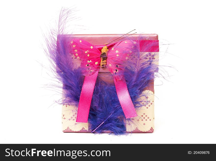 Small Gift Box With Feathers And Butterfly