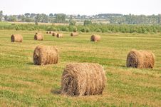 Rolls Of Hay In A Field. Stock Photography
