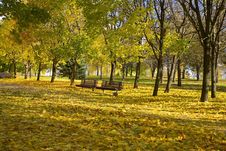 Leaf Fall In Autumn Park Royalty Free Stock Images Leaf Fall In Autumn Park Royalty Free Stock Images