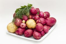 Potatoes Stock Photography Potatoes Stock Photography