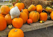 Pumpkins Royalty Free Stock Image Pumpkins Royalty Free Stock Image